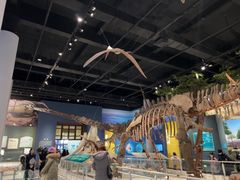 -国家自然博物馆