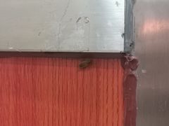 -屈礼洪