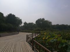 -燕郊植物园