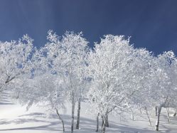-大秃顶子山