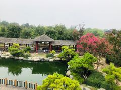 -中国唐苑