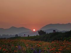 -君乐宝优致牧场