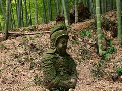 -四明湖