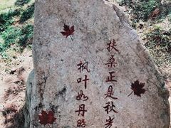 -广州市帽峰山景区