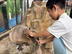 -海合安成都极地海洋公园