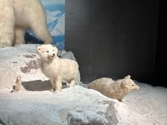 -浙江自然博物院(杭州馆)