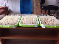 -老北京热气涮羊肉·小龙虾·烤鱼(呼玛路店)