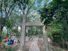 -上海佘山国家森林公园天马山园