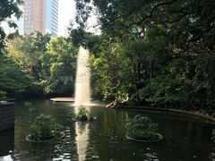 -九龙公园