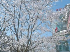 -上海市第十人民医院(总院)