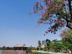 -顺峰山公园