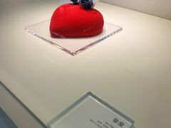 -罗红摄影艺术馆