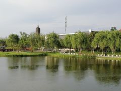 -西海子公园