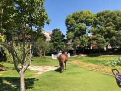 -美兰湖景区