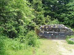 -黄龙山原始森林景区
