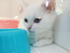 -龟与熊猫宠物公园(南坪店)