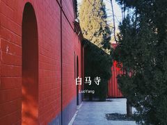 -洛阳白马寺