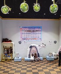 -meland亲子乐园(北京亦庄龙湖天街店)