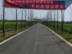-西京湾花海
