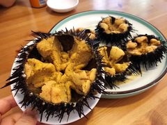 -海胆小馆(东北水饺·春柳店)