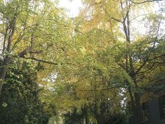 -四川大学(华西校区)