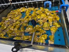 -川骄海鲜自助(河东店)