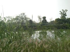 -苏州吴中太湖旅游区