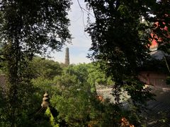 -天台山国清景区(国清寺)