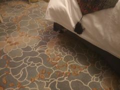 -上海安亭别墅花园酒店