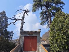 -妙峰山风景名胜区
