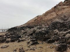 -北岐滩涂