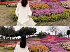 -东莞植物园
