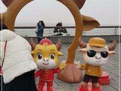 -巢湖姥山岛