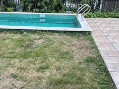 -美的鹭湖森林度假区