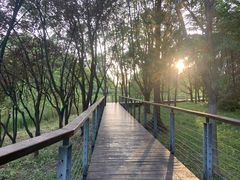 -昆山城市生态森林公园