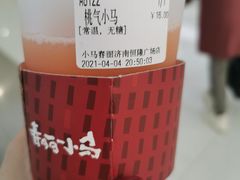 -春丽小马(济南恒隆广场店)