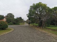 -上海海湾国家森林公园