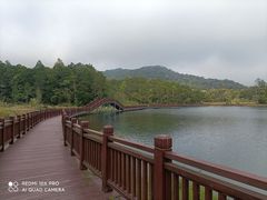 -海南热带雨林国家公园吊罗山景区