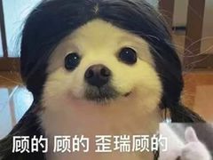 -奈雪的茶(广州万菱汇PRO店)