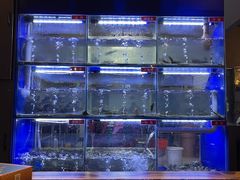 -石锅苗苗鱼(武汉首店)