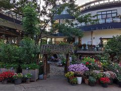 -乡村小榭饭店