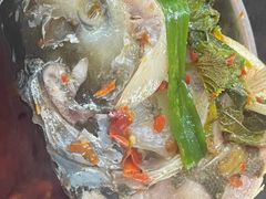 -老杨砂锅鱼庄