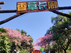 -广东花都香草世界旅游度假区