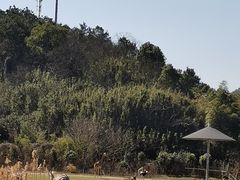 -宁波野生动物园