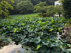 -鹤冈八幡宫