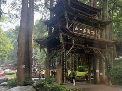 -青城山