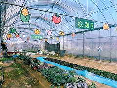 -乌村