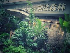 -咖法森林·咖啡  酒吧(天河店)