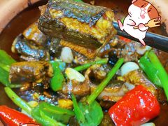 -天宝食坊·啫啫煲大排档(西华路店)