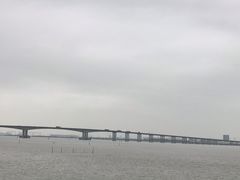 -大湾区中央湿地公园